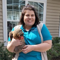 Lauren Cerretti, Shrm-Cp