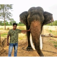 Vishwanath Cd