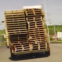 Martha beatriz Cisneros Sandoval