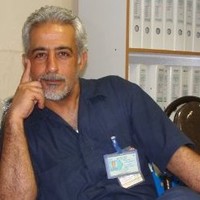 Reza pirineh