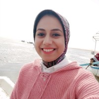 Noura Nasr