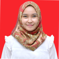 Nur Hikmah Amir