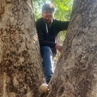 Debabrata Jugal Manna