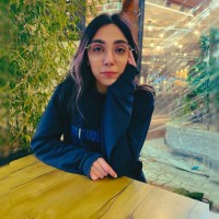 Sheida Toopchian