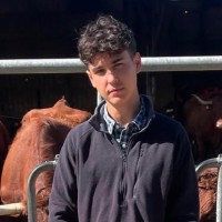 Hugo Micheletti Brunjes