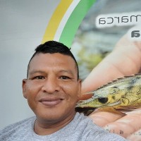 Angel Villon