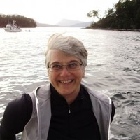 Judy L Palmer