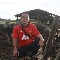 Juni Ribhul