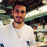 Enrico Lenzi