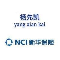 杨先凯