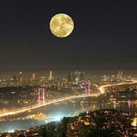 ipek Aysim