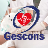 Gescons s.a.s.