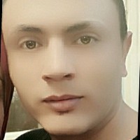 Mohamed Aboghonim