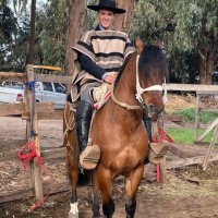 Sebastian Tacussis Ferrari