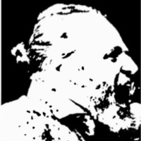 Alain Bodenstedt