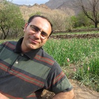 M.Reza Ahmadi