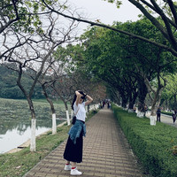 刘一枝