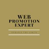 web expert