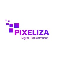 Pixeliza Transformación Digital