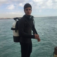 Parsa _Diver