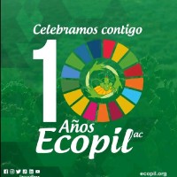 Ecopil MX