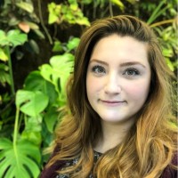 Christina J. Connors, Phd