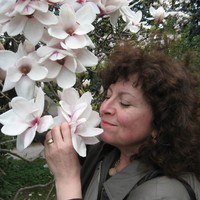 Nadezhda Peneva