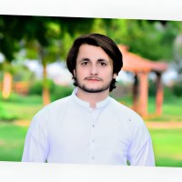 Najam Ul Huda
