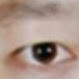 Bo Liu