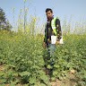 Kapil Chahar Dev