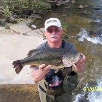 Glen Mcnew
