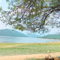 Sevanthi Durai