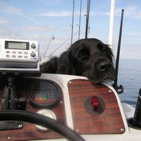 Jeff Osberg