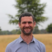 Peter Hoy