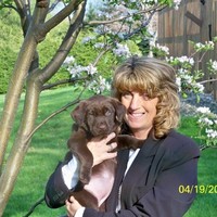 Lisa Edwards