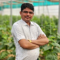 Mukesh Kumar