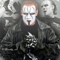 Wwe Icon Sting