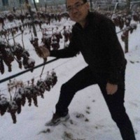 陈平生