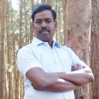 mountnaturalexports mountnaturalexports