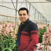 İsmail KARACA