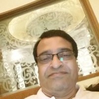 Srinivasan Parthasarathi