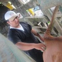 Fabricio Moreira Villamar