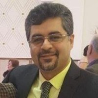 Mohammad R Samandi