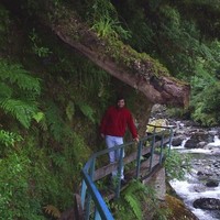 Pablo Cárdenas Neira