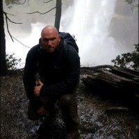 Anthony Taylor