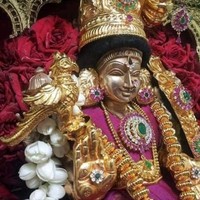 Sreedhara Rao.K