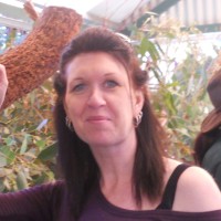 debbie stringer