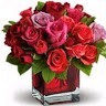 shubham rokde