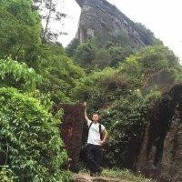 蔡鹏飞