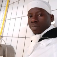 bambis Ndiaye